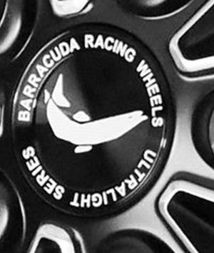 Barracuda/Corspeed Center cap