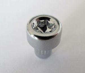 Barracuda/Corspeed rim bolts