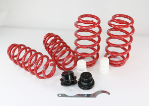 Eibach variable sport springs fits for Audi A4 8K / B8