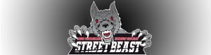 FMS Streetbeast 76mm Single-Endschalldämpfer mit Soundgenerator passt für BMW 2er F22