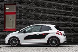 Seitenschweller Musketier passend für Peugeot 208