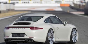 Moshammer Entbürzel EVO passend für Porsche 911/991