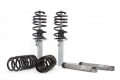 HR Cup Kit passend für BMW F36
