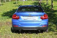 Eisenmann Endschalldämpfer Edelstahl Duplex (links/rechts) passend für BMW F23