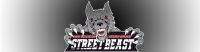 FMS Streetbeast 76mm Duplex-Anlage mit Klappensteuerung passt für VW Golf VII