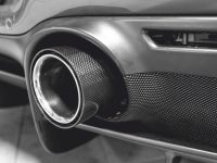 Friedrich Performance Manufaktur 114mm carbon-tailpipes to screw fits for Ferrari F8 Tributo inkl. Spider