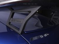 Piecha rear wing fits for Mercedes AMG GT W190
