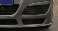 Universalgitter schwarz für Heck 271632 passend für Opel Astra H