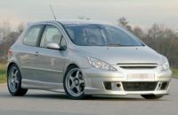 Frontstoßstange ohne seitliche Luftschlitze Rieger Tuning passend für Peugeot 307