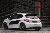 Heckdiffusor  Musketier passend für Peugeot 208