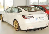 Rieger Seitenschweller Set SG passend für Tesla Model 3 (003)